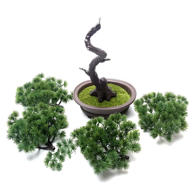 Evergreen Serenity Bonsai